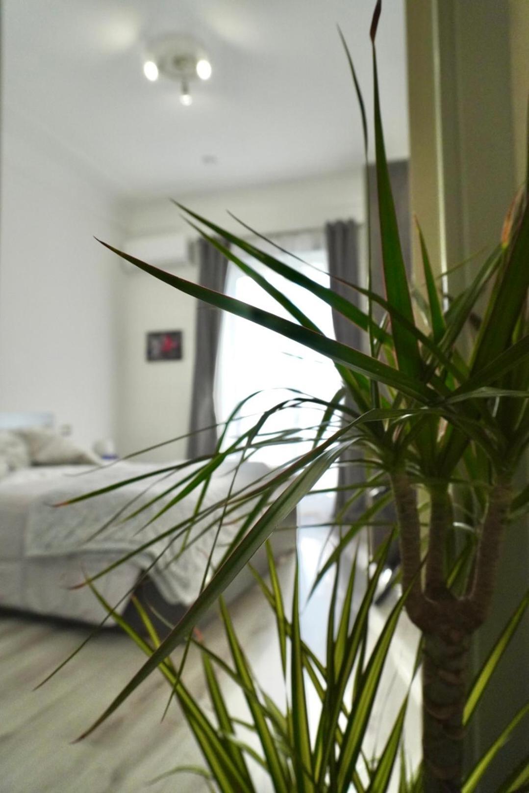 B&B Il Rio Anacapri  Buitenkant foto